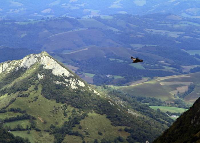 slow tourism vacances nature