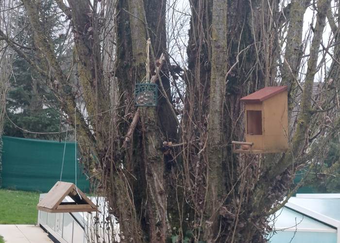 Mangeoires 2023-page