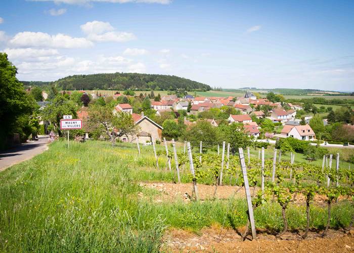 village calme dans vignoble de cote d'or