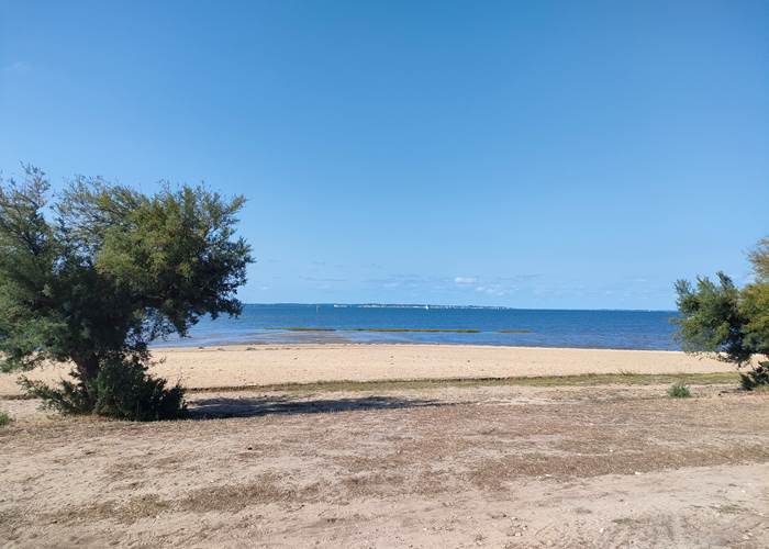 Plage de Taussat sur le Bassin d’Arcachon dans un cadre naturel et arboré