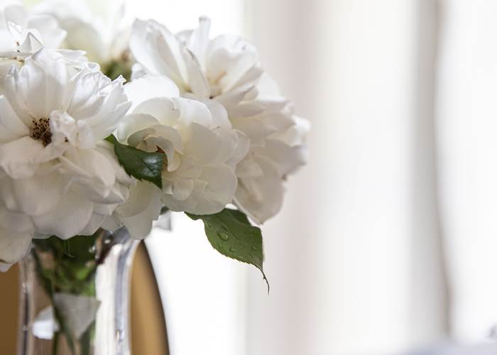 quelques roses du jardin