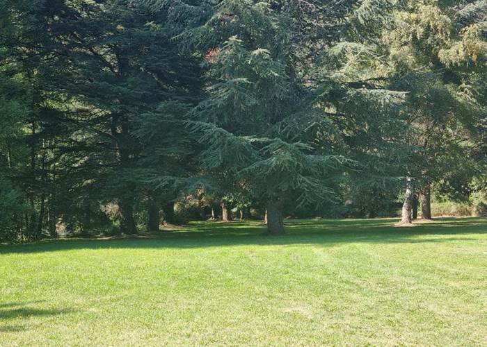 Le parc
