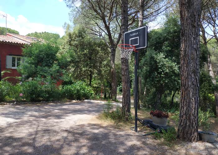Panier de basket