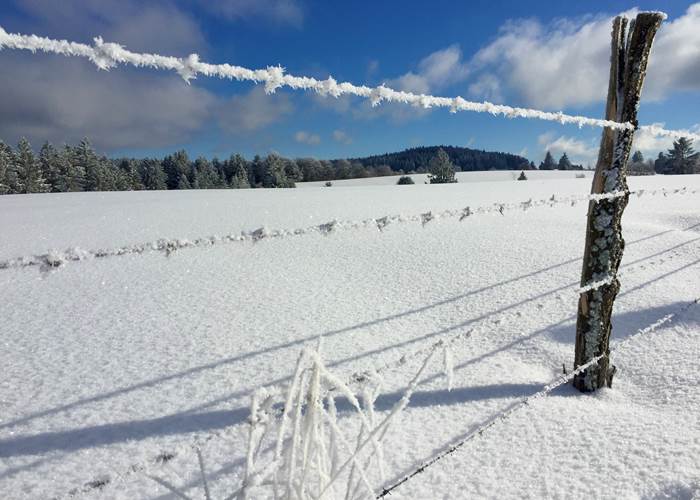 Montagne enneigée, Vosges-page