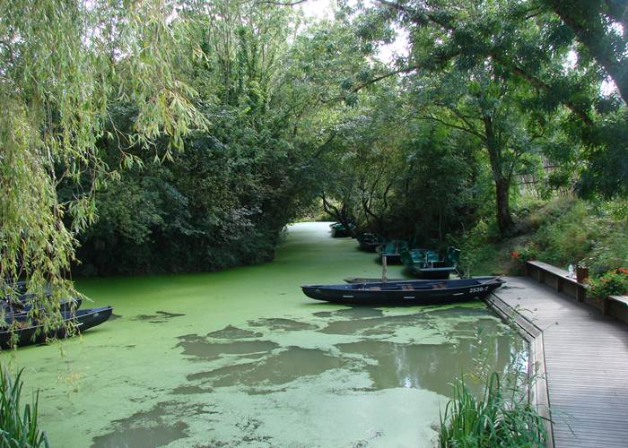 Un embarcadère du Marais