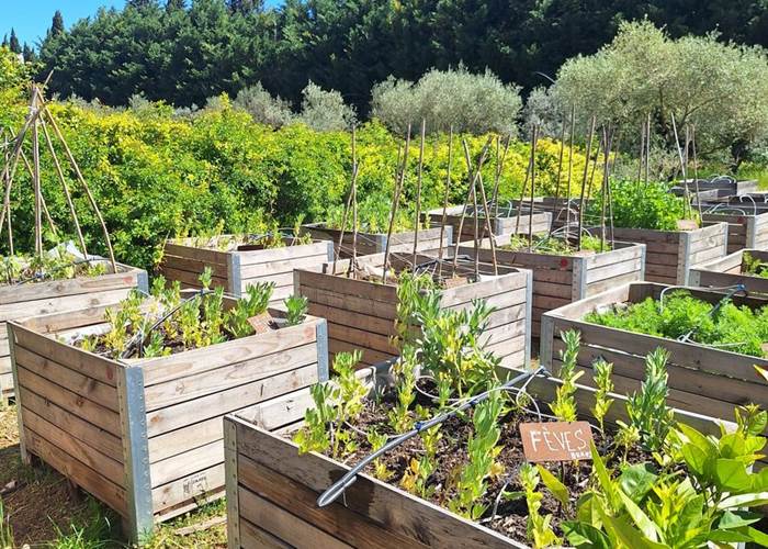 Verger et potager bio