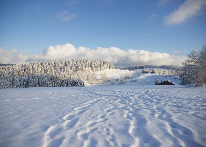 Montagne enneigée, Vosges-page
