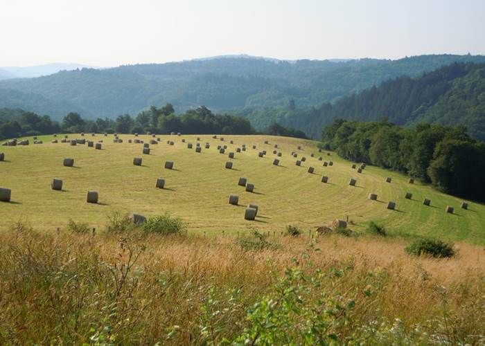 notre belle campagne, vue devant le Ranch des Lacs en été