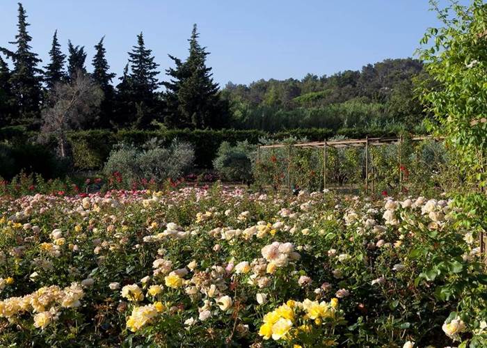 Jardin d'Alcinoos