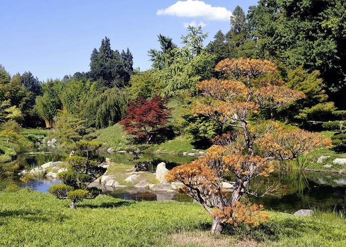 Le Jradin japonais à la Bambouseraie d'Anduze