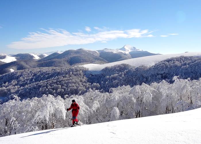 Activités_Raquettes en forêt d'Iraty