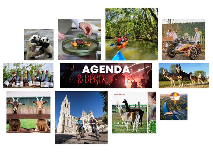 Agenda et decouvertes autour du Domaine des Cyclamens