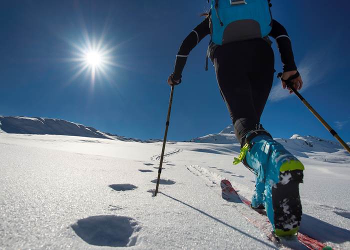 Ski de randonnée