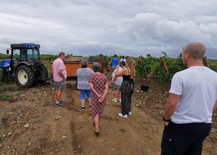 Les vendanges à Mailhac