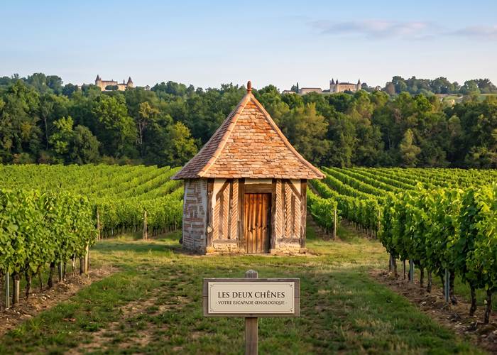 Vignoble en Périgord Pourpre proche des gîtes Les Deux Chênes