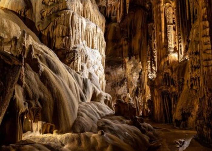 Les grottes d’Isturitz et d’Oxocelhaya vous accueillent à partir du 15 mars 2026 - 7j/7