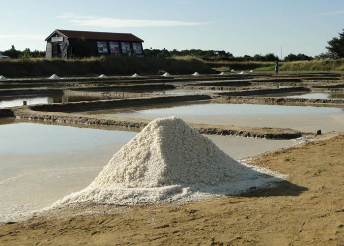 Port des Salines, les marais salants de l'île d'Oléron