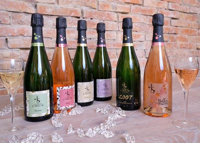 Champagne JS. BRICHE