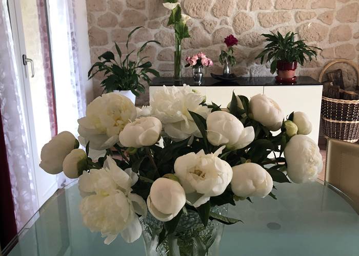 bouquet-pivoines-blanches-mas-des-anges-chambres-hotes-soussans.jpg