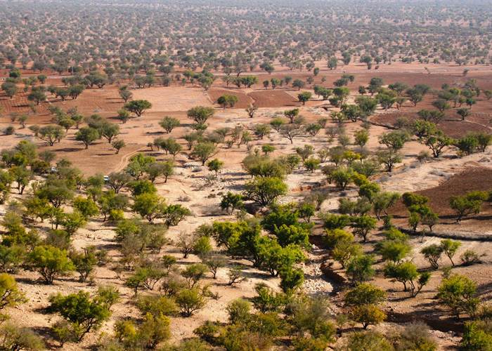 Fat club Agadir - Agadir Souss Massa