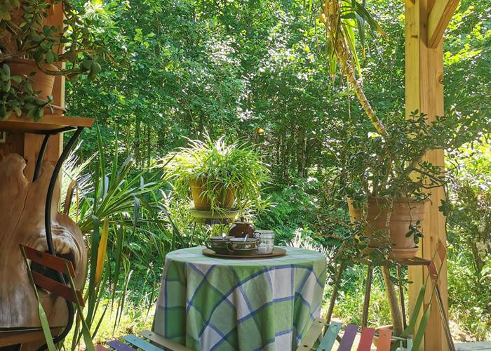 Petit déjeuner devant la forêt