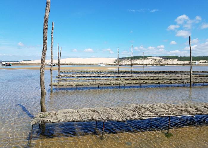 Les parcs à huîtres. Bassin d'Arcachon