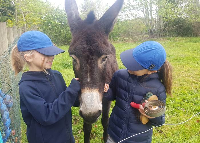 Image écoute ce que ces deux demoiselles lui racontent randonnée avec un âne Maison du Masjoubert séjour famille