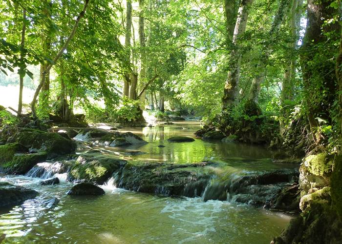 Notre lien avec la nature décide de nos comportements ... si si