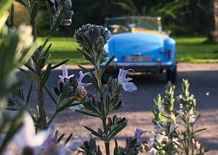 Un spacieux parking dans l'enceinte de la Demeure