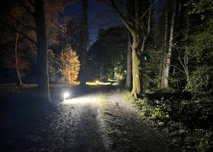 Le parc entre ombres et lumières