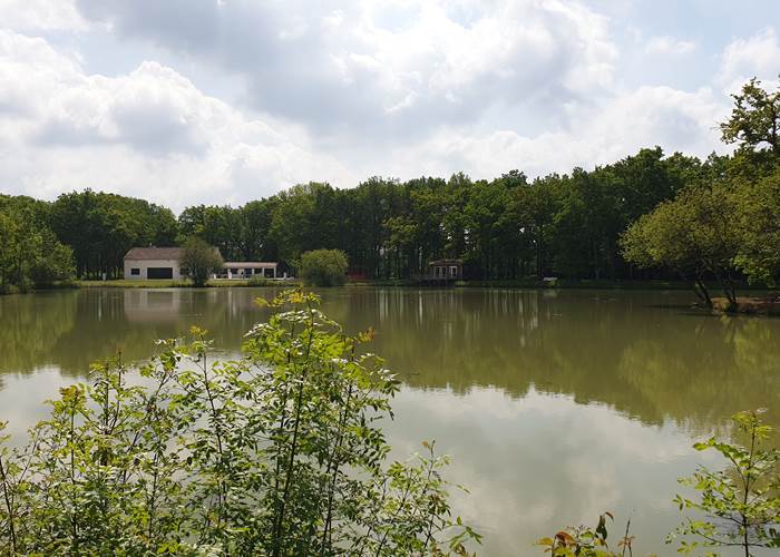 vu du domaine
