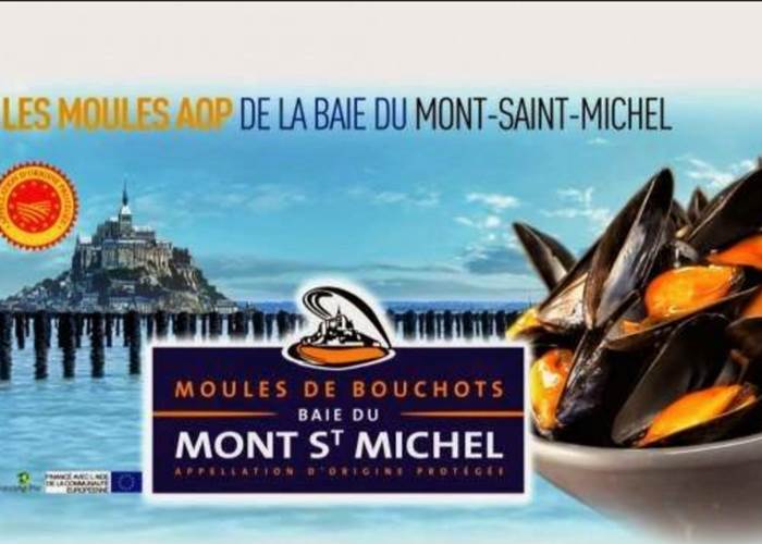 Les moules de bouchot de la baie du Mont St Michel