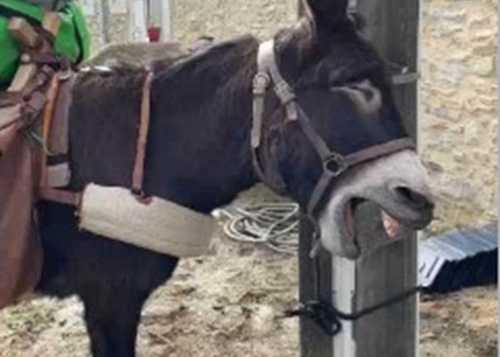 Que la vie est dure 😉!