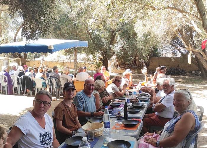 Repas sous les oliviers