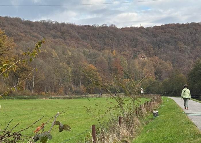 Balade en bord de Sambre