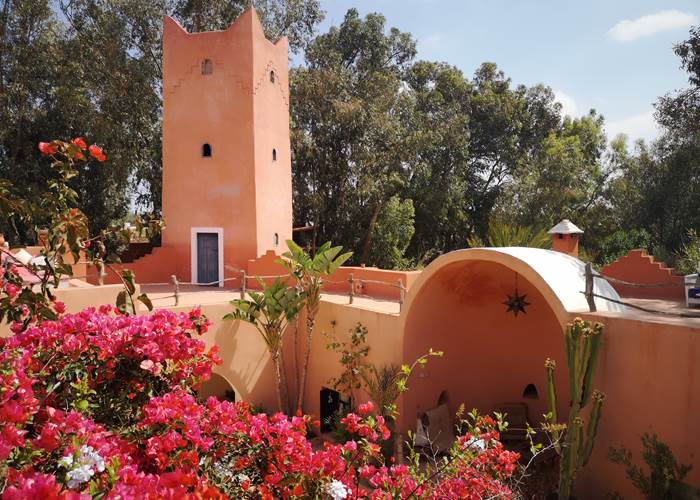 Au milieu d'une fôret d'eucalyptus...