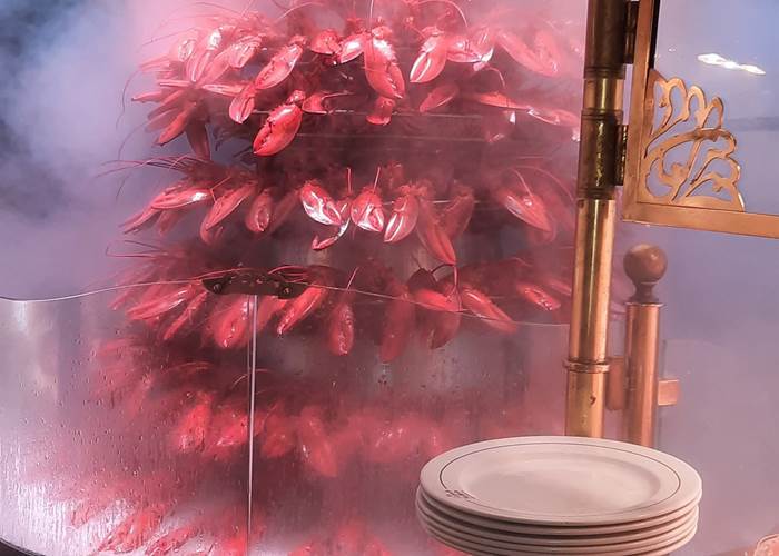 Fontaine majestueuse