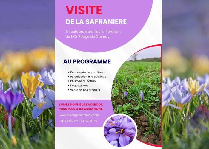 L'or rouge de Chimay affiche