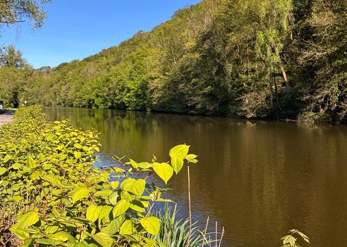 La Haute Sambre sous le soleil près de Hourpes