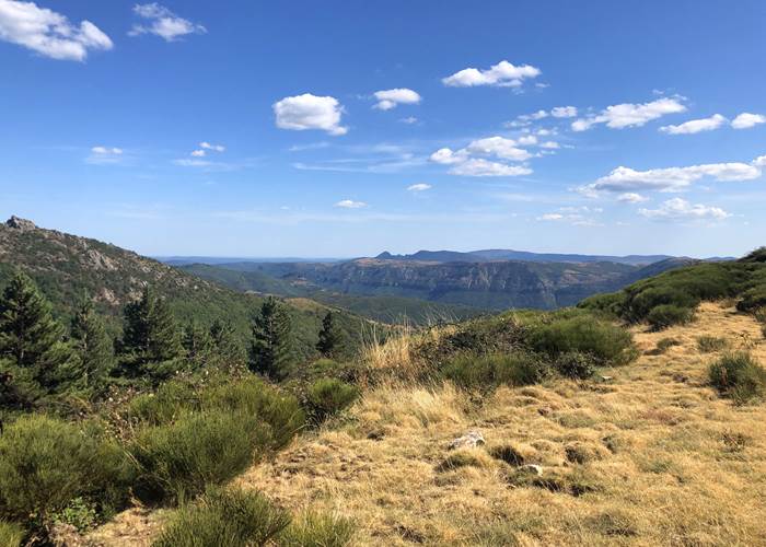 Cosy Nature toute l'année dans les Cévennes-news
