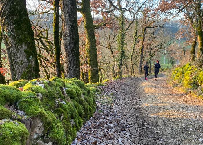 Randonnée ou trail. Tant de sentiers magnifiques !