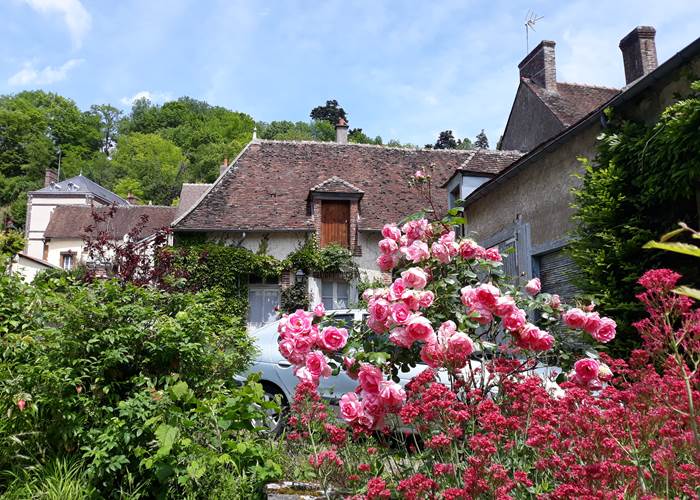 Roses fleuries au clossaintnicolas.fr