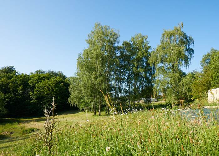 les bois de saint Auvent le jardin-page
