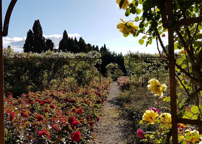 Jardin d'Alcinoos