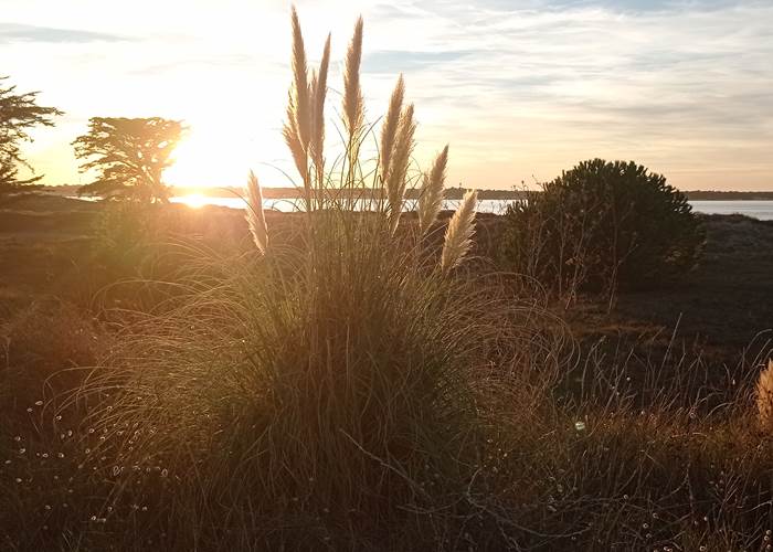 Coucher de soleil île de Ré