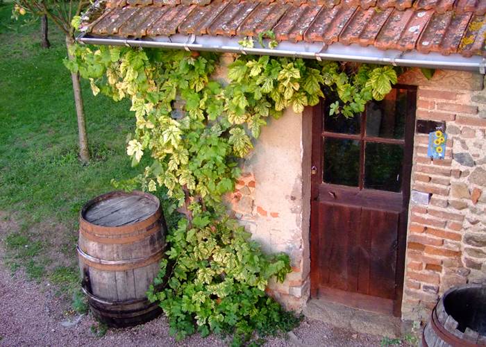 Cabane vigneronne