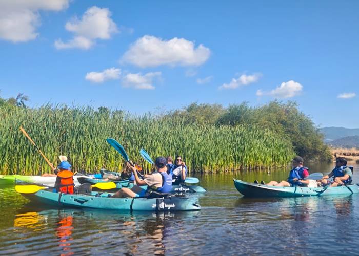 Abbartello Kayak le Taravo a une vaste roseliere