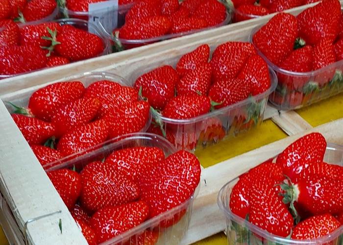 Les Fraises de Nabirat