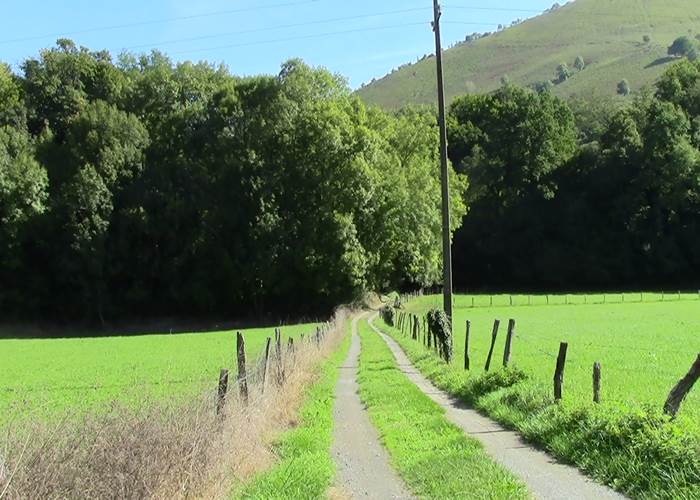acces-foret