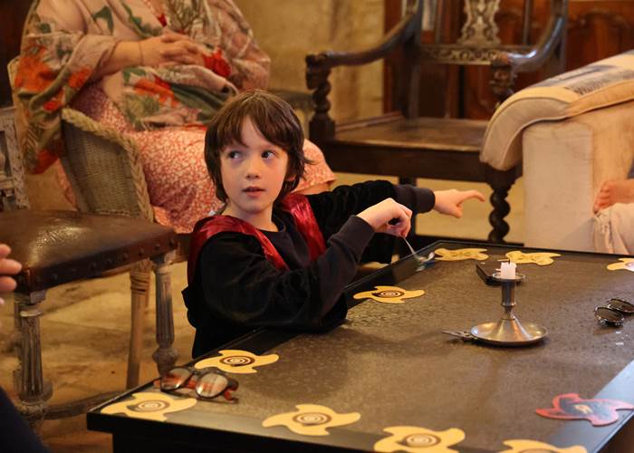 CHÂTEAU LUDIQUE & FANTASY, Jeux de société, jeux de rôle, murder party & animations immersives